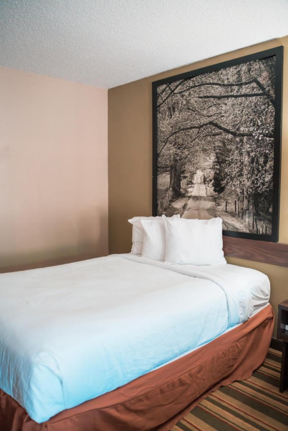 Super 8 by Wyndham Columbia SC / Ft. Jackson Image 13