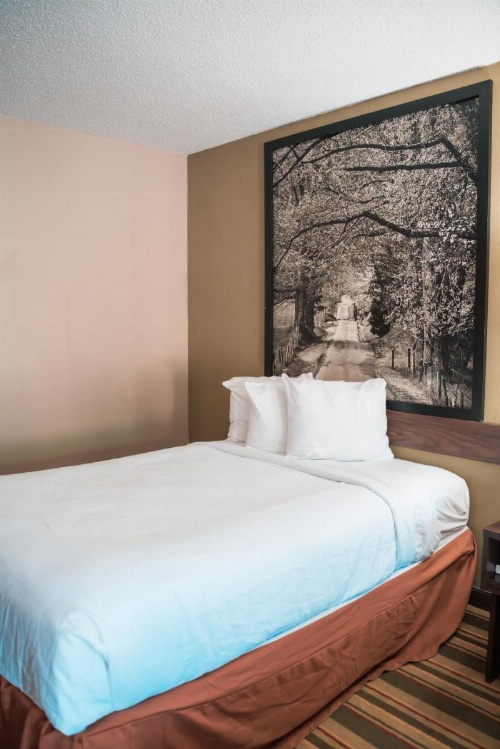 Super 8 by Wyndham Columbia SC / Ft. Jackson image 13