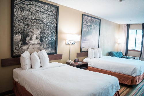 Super 8 by Wyndham Columbia SC / Ft. Jackson image 2